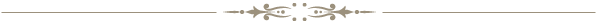 decorative-hr-600.png
