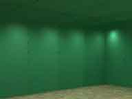 cover the walls and ceiling