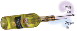 Wine Breathes